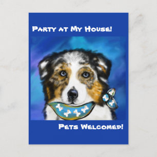 AUSTRALIAN SHEPHERD POSTCARD