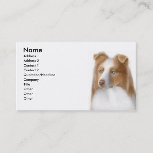 Australian Shepherd Profile Card