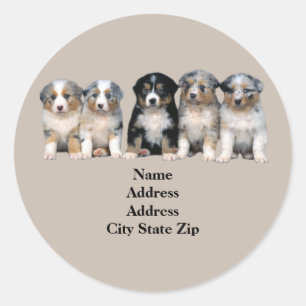 Australian Shepherd Puppies Address Label