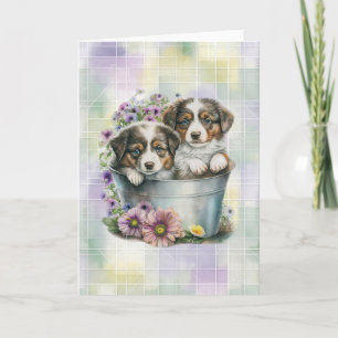 Australian Shepherd Puppies Blank Folded Note Card