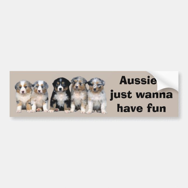 Australian Shepherd Puppies Bumper Sticker (Front)
