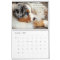 Australian Shepherd Puppies Calendar