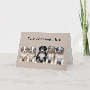 Australian Shepherd Puppies Greeting Card