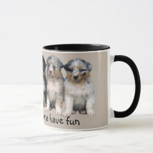 Australian Shepherd Puppies Mug