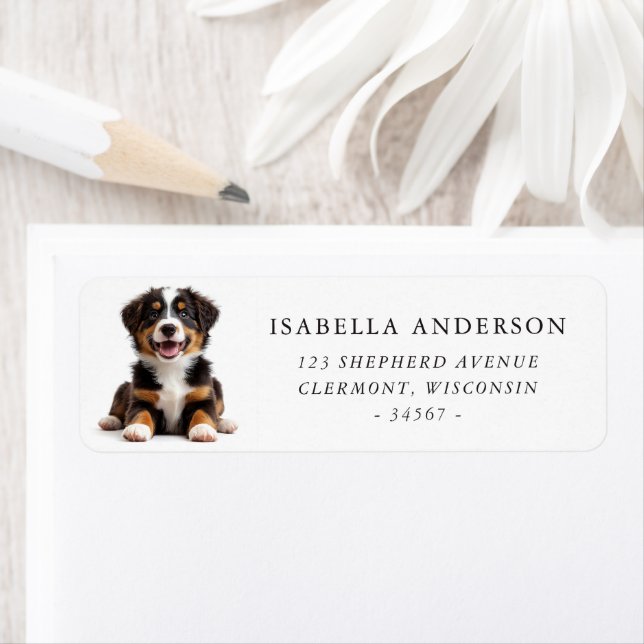 Australian Shepherd Puppy Adresse de retour (En situation)