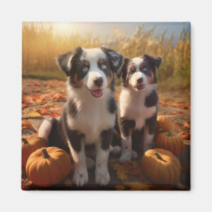 Australian Shepherd Puppy Autumn Delight Pumpkin Magnet