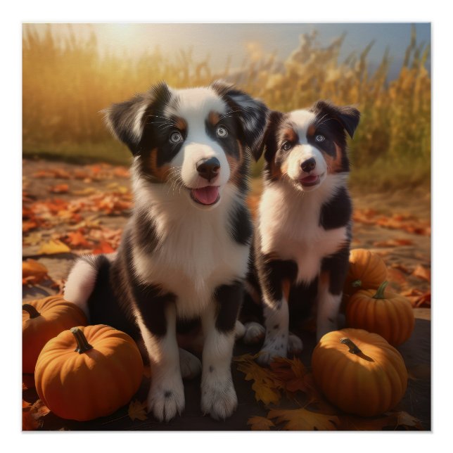 Australian Shepherd Puppy Autumn Delight Pumpkin Poster (Front)
