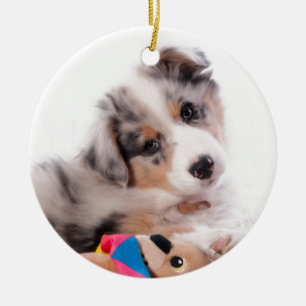 Australian shepherd puppy ceramic ornament