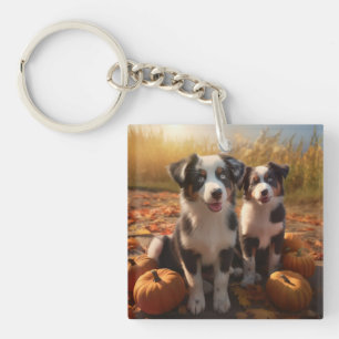 Australian Shepherd Puppy Citrouille de plaisir d'