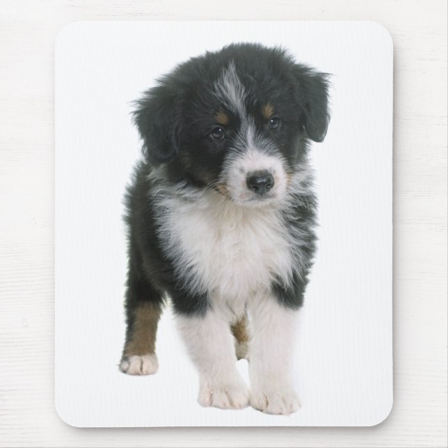 Australian Shepherd Puppy Dog - Aussie Love Mouse Pad (Front)