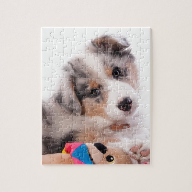 Australian shepherd puppy jigsaw puzzle (Vertical)