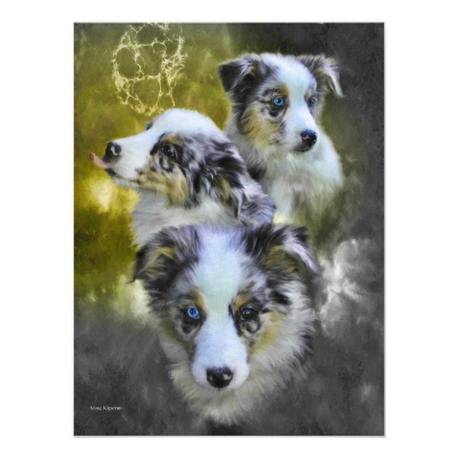 Australian Shepherd Puppy Triad Photo Print (Front)