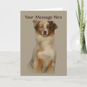 Australian Shepherd Red Greeting Card