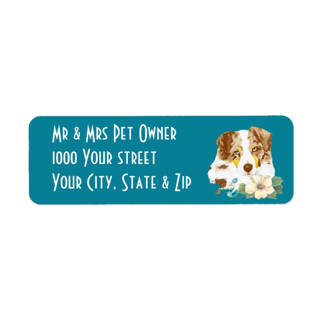 Australian Shepherd Red Merle Adresse de retour La (Devant)