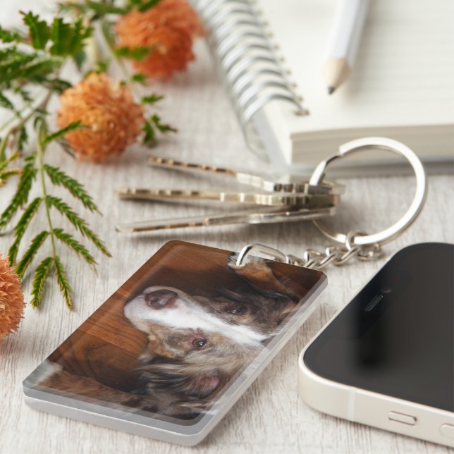 australian shepherd red merle laying flat keychain (Front Right)