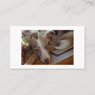 australian shepherd red merle sleeping referral card