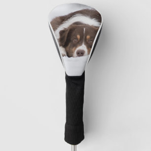 australian shepherd red tri laying in snow golf head cover