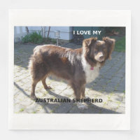 australian shepherd red tri love w pic