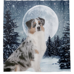 Australian Shepherd Shower Curtian