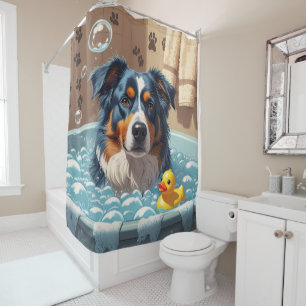 Australian Shepherd Sloppy Sleepy Cute Funny