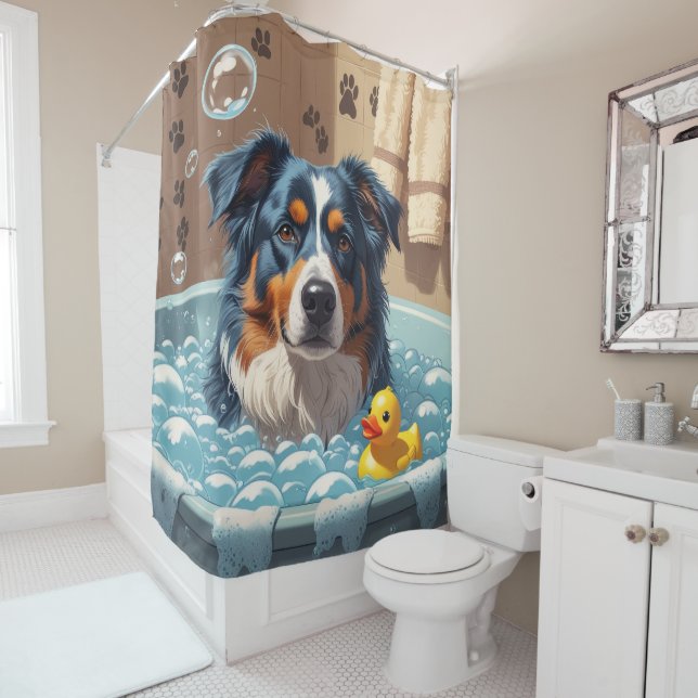 Australian Shepherd Sloppy Sleepy Cute Funny (In Situ)