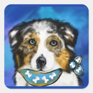 AUSTRALIAN SHEPHERD    SQUARE STICKER