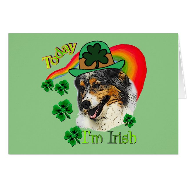 Australian Shepherd St patrick (Devant horizontal)