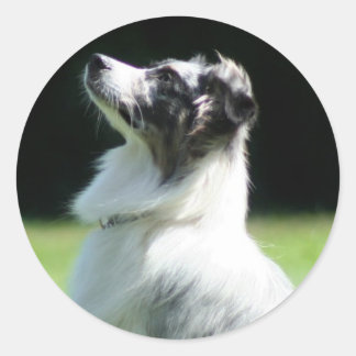 Australian Shepherd stickers