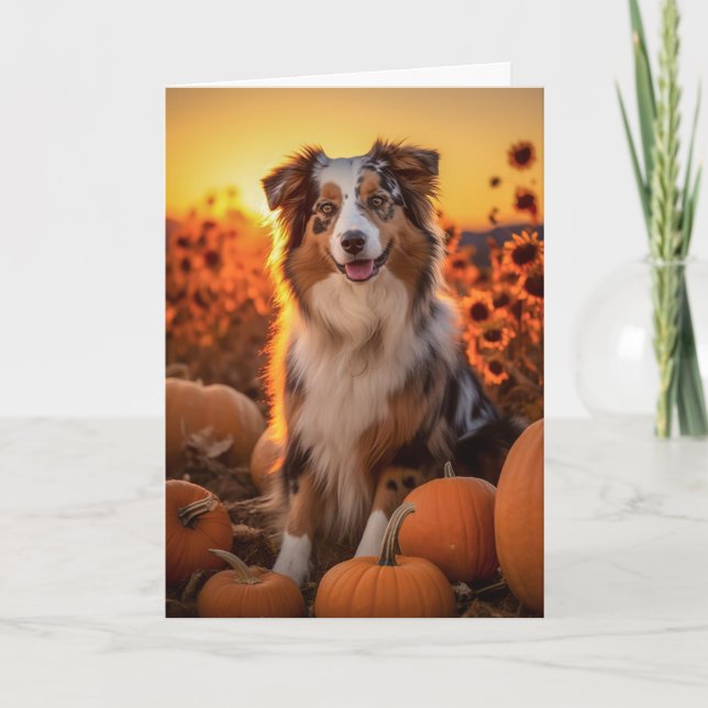 Australian Shepherd Thanksgiving Holiday Card (Front)