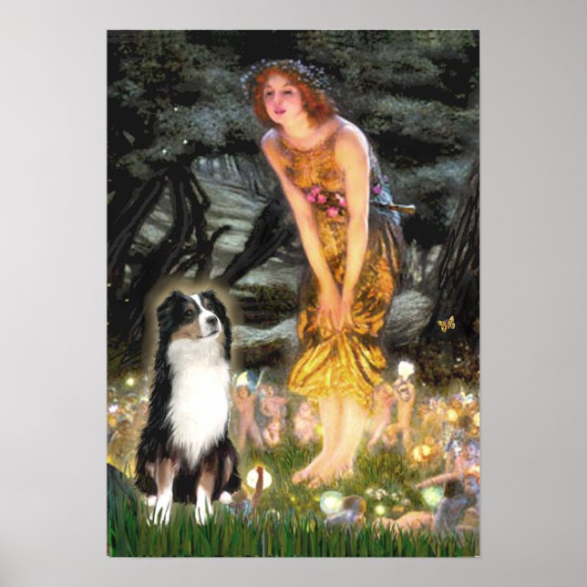 Australian Shepherd (Tri2)-Midsummers Eve Poster (Front)