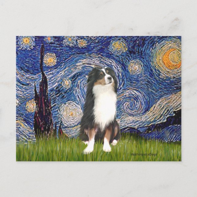Australian Shepherd (Tri2) - Starry Night Postcard (Front)