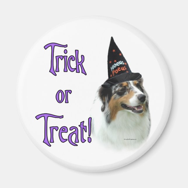 Australian Shepherd Trick Magnet (Front)