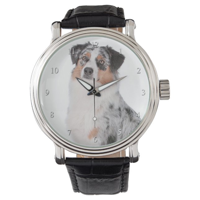 Australian Shepherd Watch (Front)