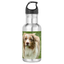 Australian Shepherd Water Bottle
