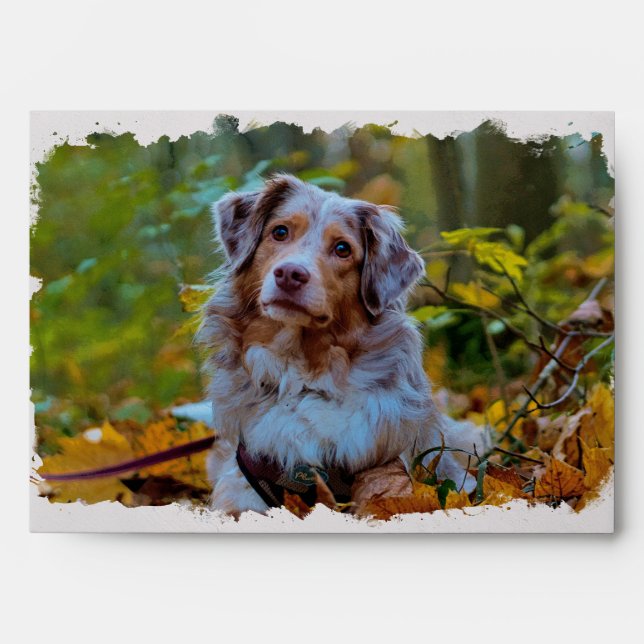 Australian Shepherd watercolor art Envelope (Front)