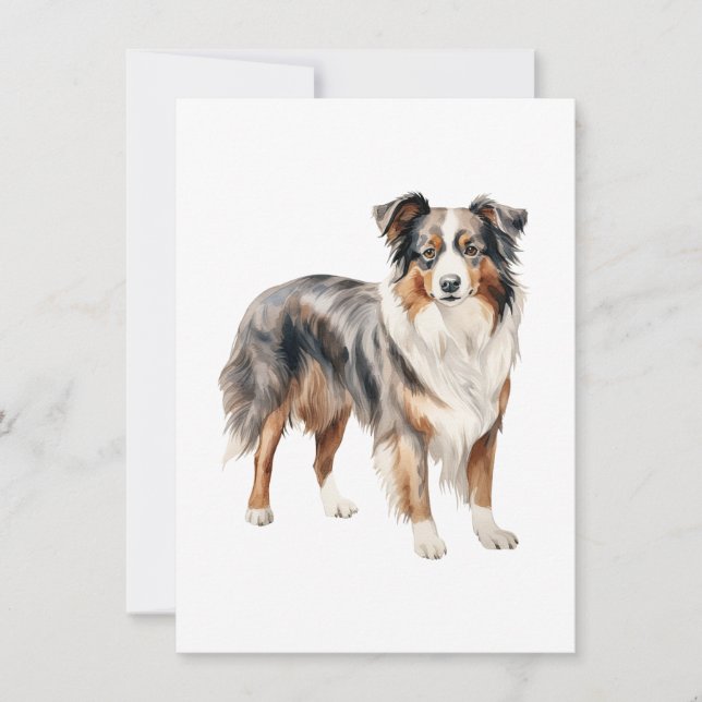 Australian Shepherd watercolor clipart Australian  Thank You Card (Front)