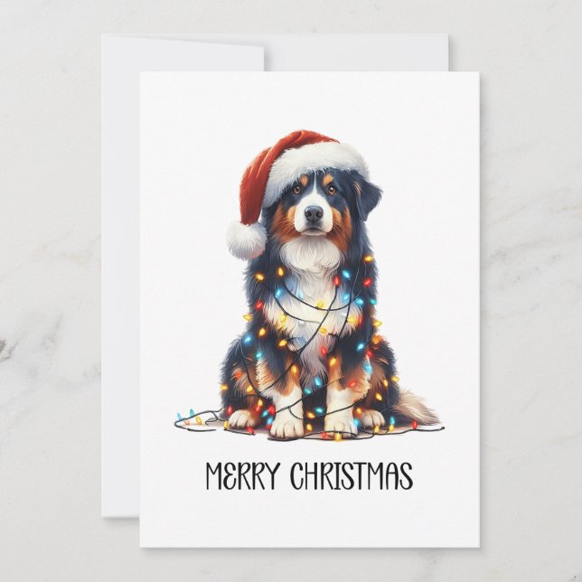 Australian Shepherd Wrapped in Christmas Light Holiday Card (Front)