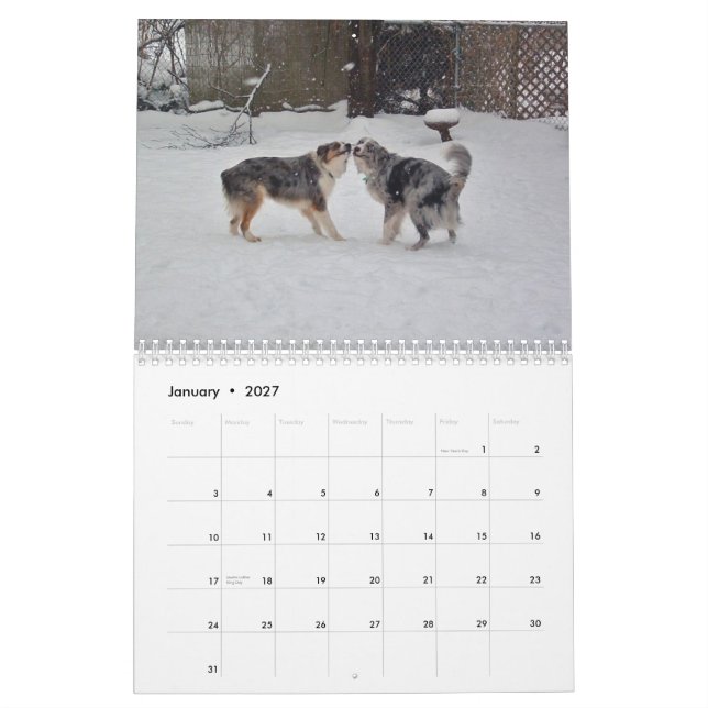 Australian Shepherds 2013 Calendar (Jan 2027)