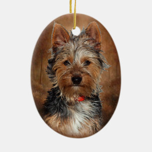 Australian Silky Terrier Ceramic Ornament