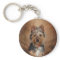 Australian Silky Terrier