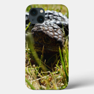 Australian Stumpy Lizard, iPhone 13 Case