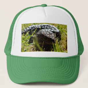 Australian Stumpy Lizard, Trucker Hat
