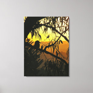 Australian Sunset Kookaburra Silhouette Wrapped C Canvas Print