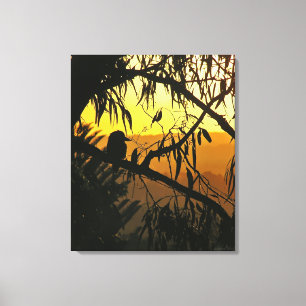 Australian Sunset Kookaburra Silhouette Wrapped C Canvas Print