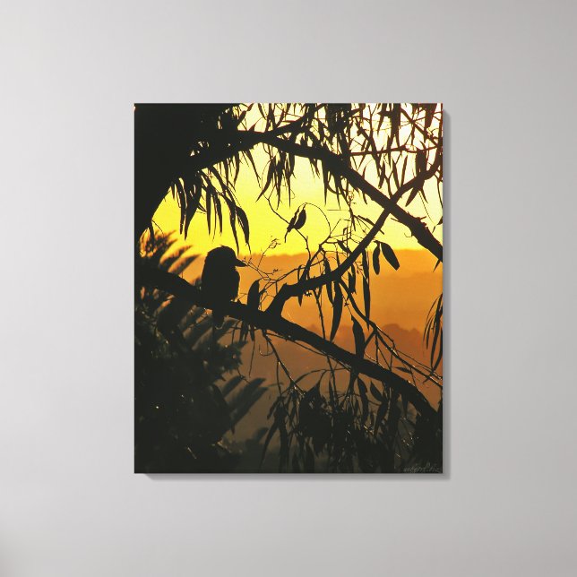 Australian Sunset Kookaburra Silhouette  Wrapped C Canvas Print (Front)