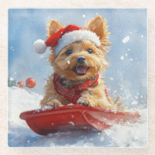 Australian Terrier in Sledge Let it Snow Christmas Glass Coaster