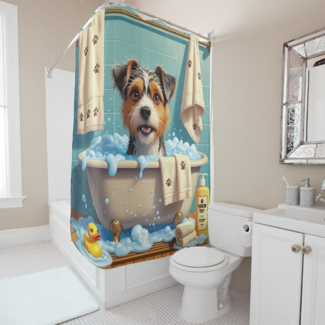 Australian Terrier Sloppy Sleepy Cute Funny (In Situ)