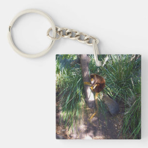Australian Tree Kangaroo Climbing A Tree, Keychain