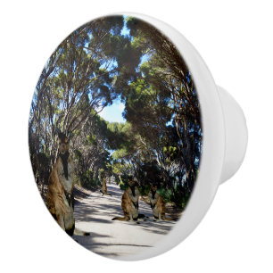 Australian Wallabies On A Gravel Road, Ceramic Knob