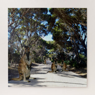 Australian Wallaby On Road, Jigsaw Puzzle